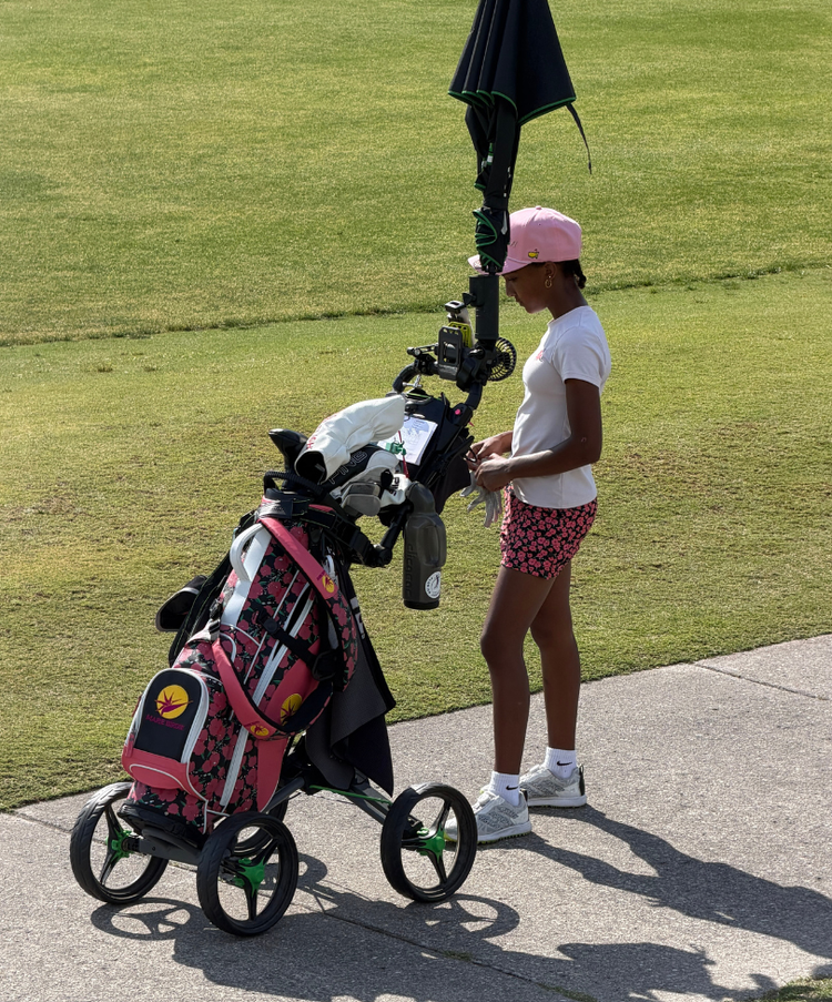Stand Bag