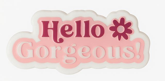 Hello Gorgeous PinPins