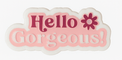 Hello Gorgeous PinPins